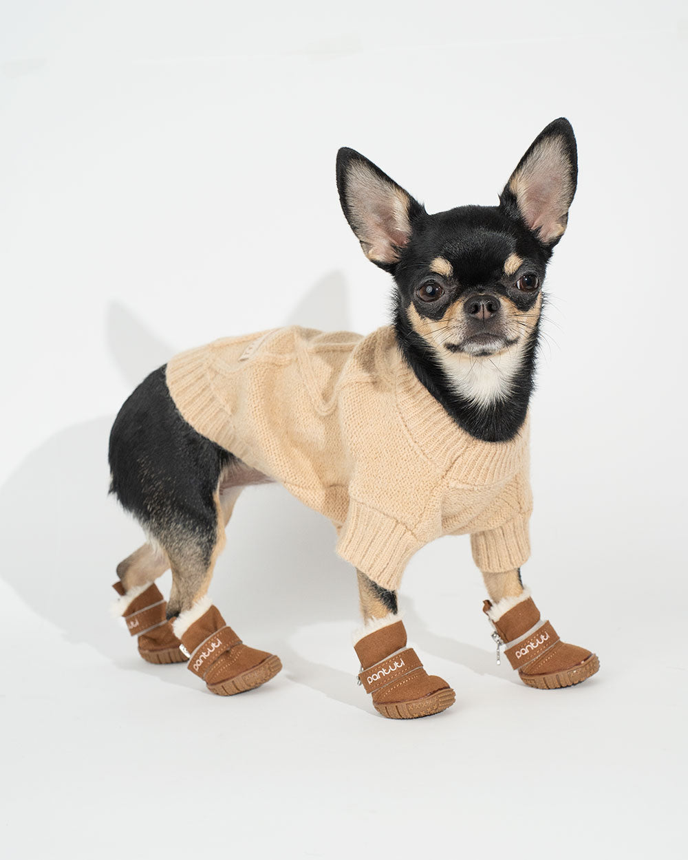 225c981147d1c273a564280eb9be08e8