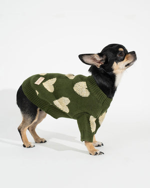 Warm elastic dog sweater KIERO