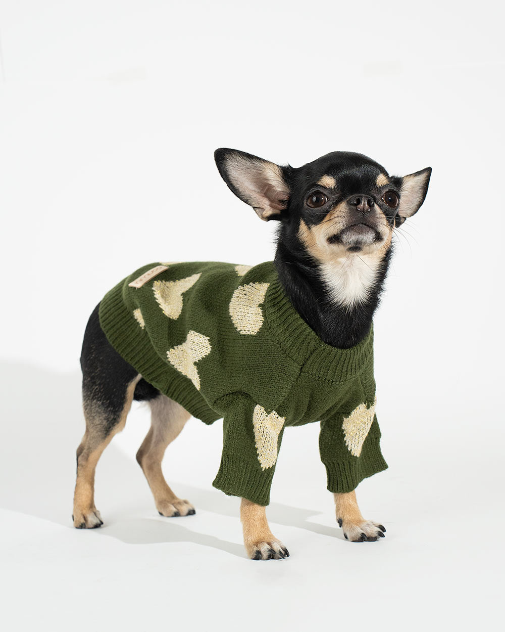 Warm und elastisch Hundepullover KIERO