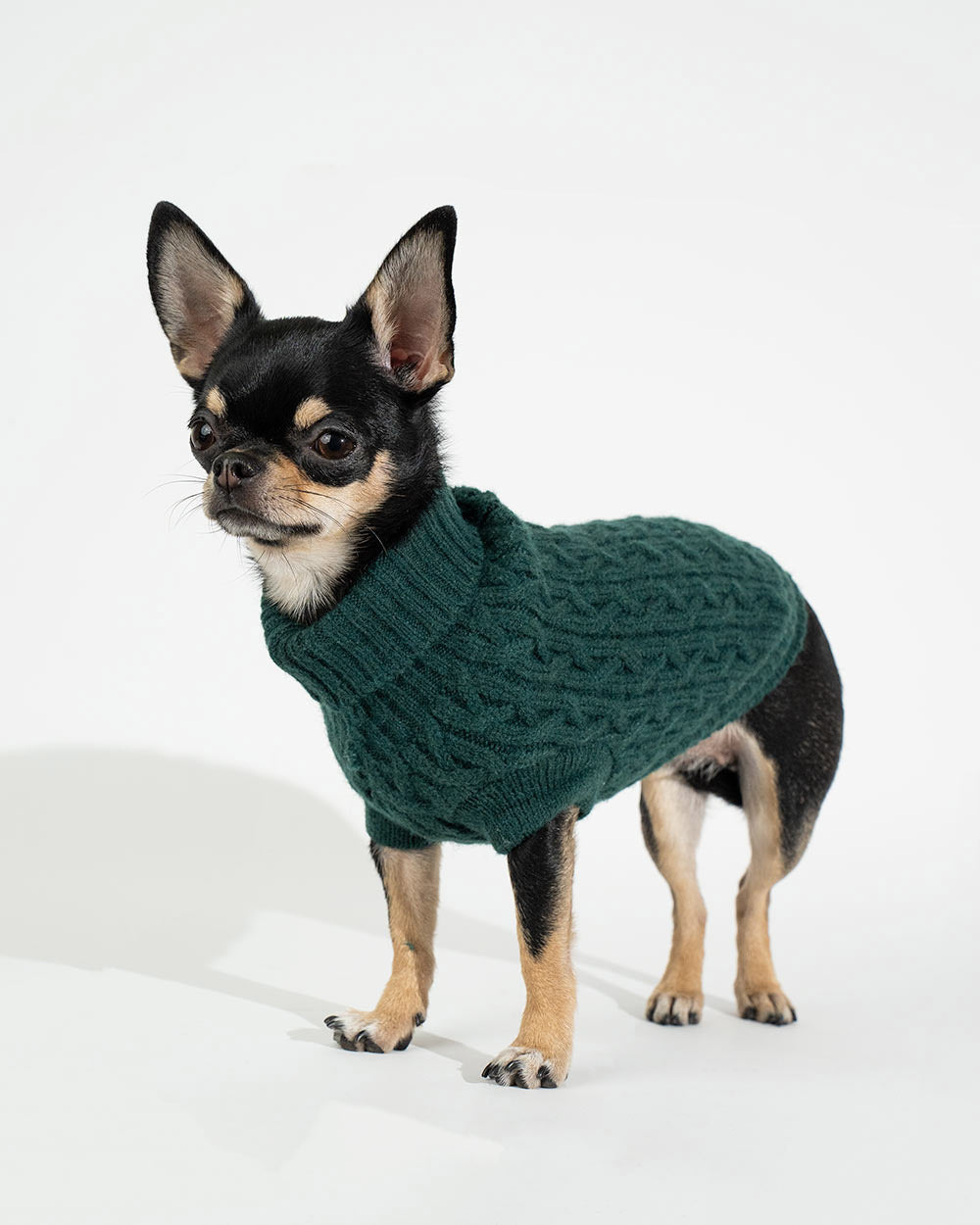 Warm und elastisch Hundepullover KOSMA