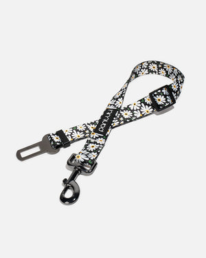 Daisy car seat belt for dogs
