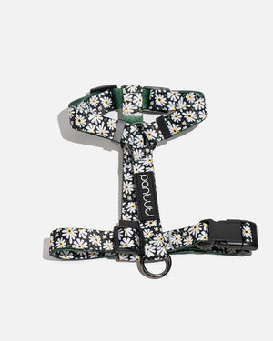 Daisy dog guard harness