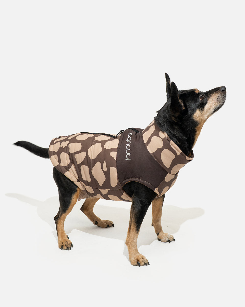 482fbcaaad0673faf0b2808dae7157b3