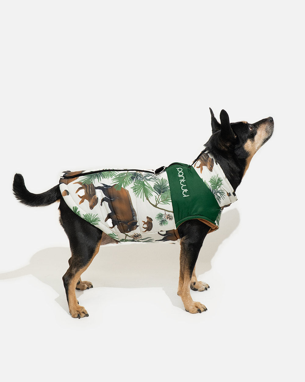 7cc8e02f4821477f033b1edef40247a3