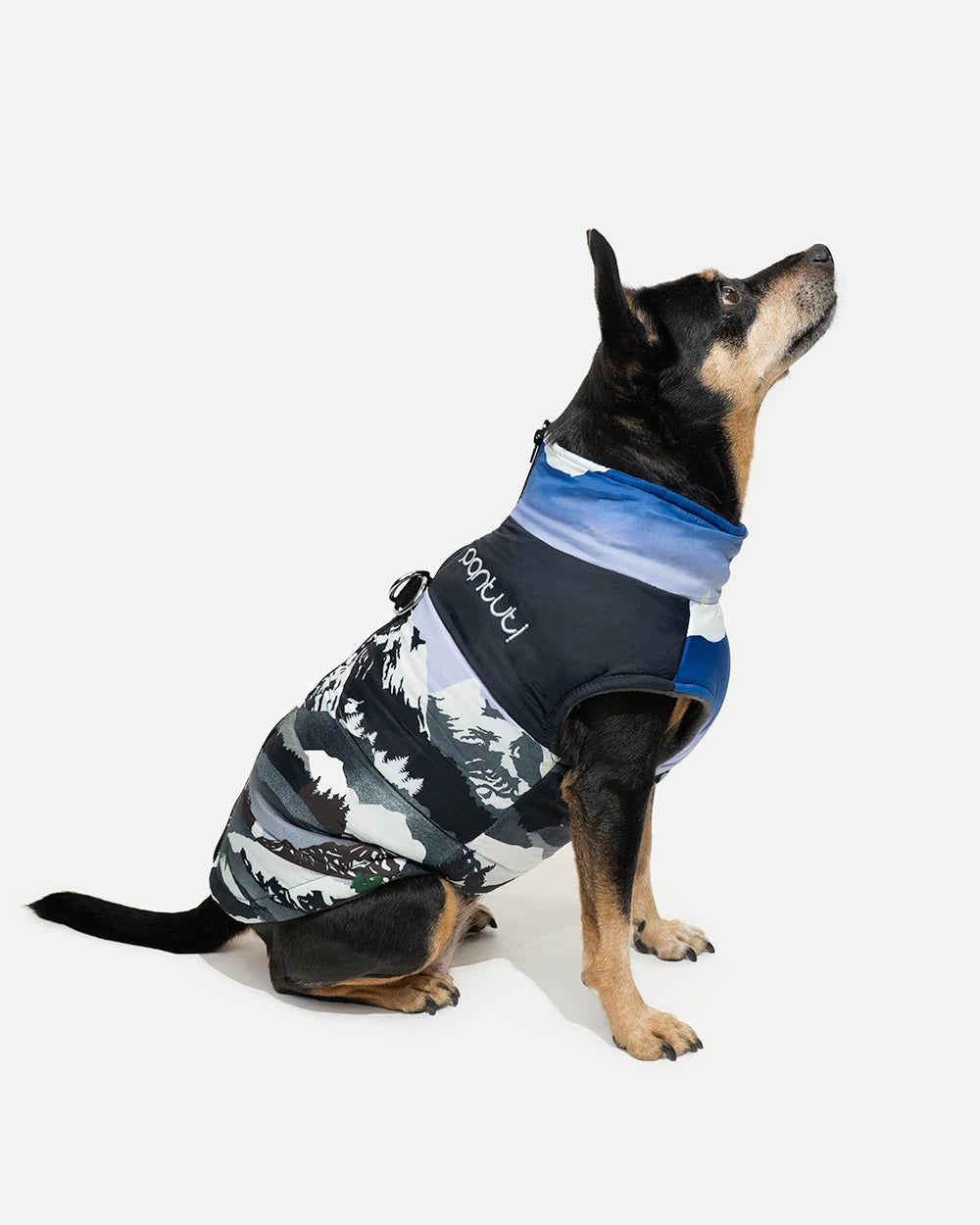 80067b51041017927d1ba73cff6eb948