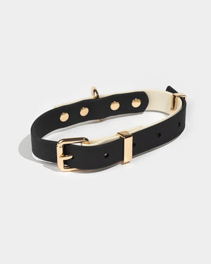 Minimalist dog collar FARO