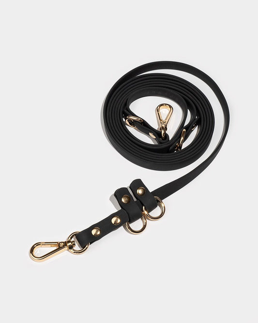 Waterproof multi-position dog leash FARO