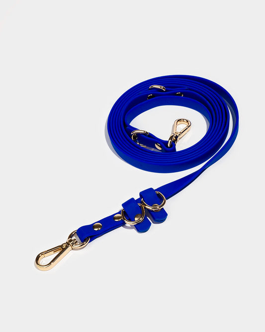 Waterproof multi-position dog leash FARO