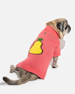 Iconic GRUCHA dog sweater