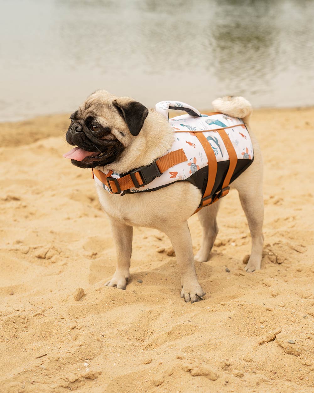 Hundeschwimmweste "HAU MARINA" – mit Griff & Reflex, Größen S–XL