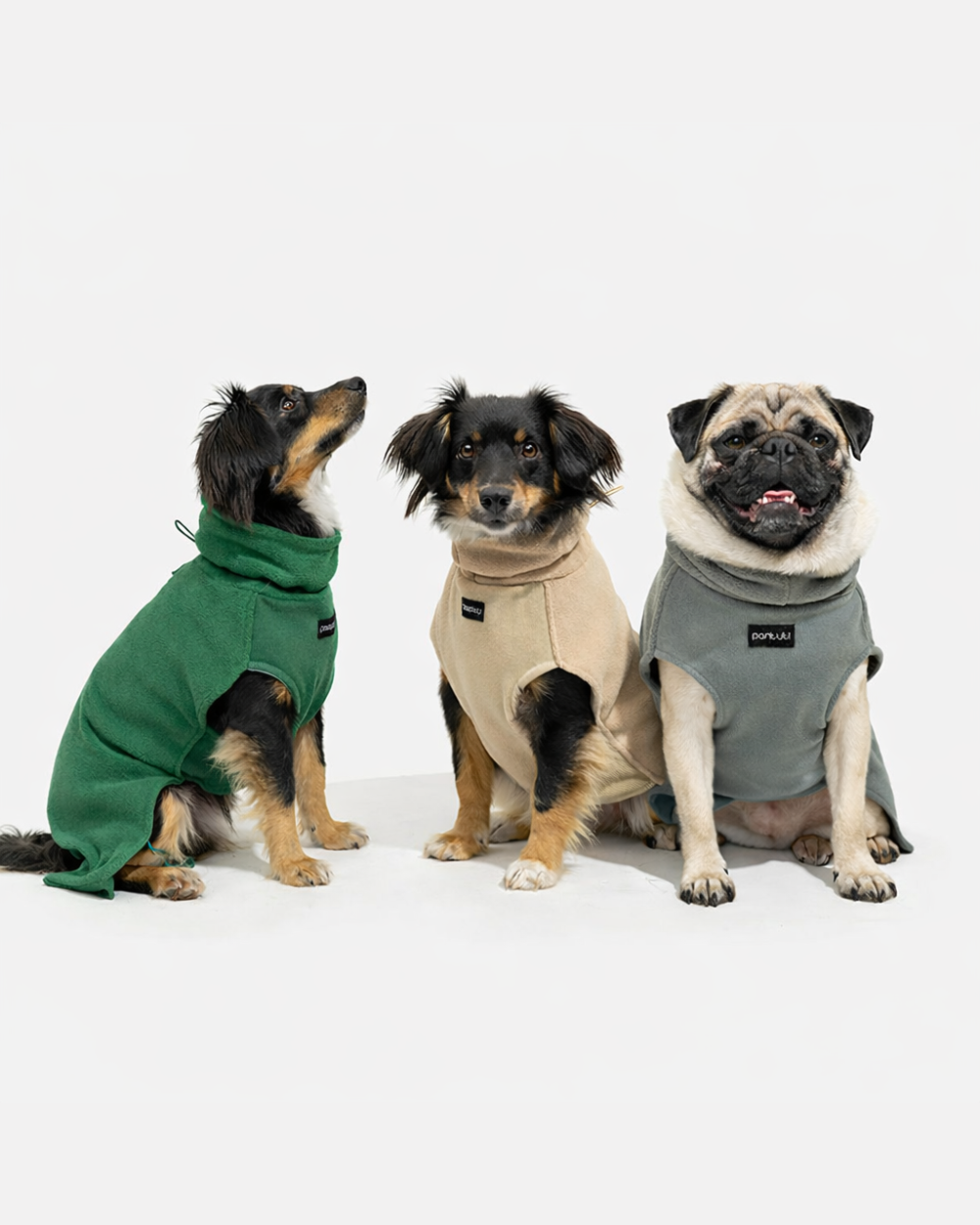 Zweischichtiger, weicher Fleecepullover für Hunde HUGO