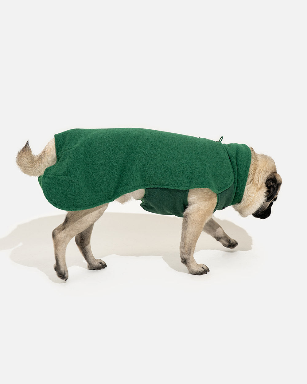 3c4f69faeb1f68f56ea15b367fa2b716