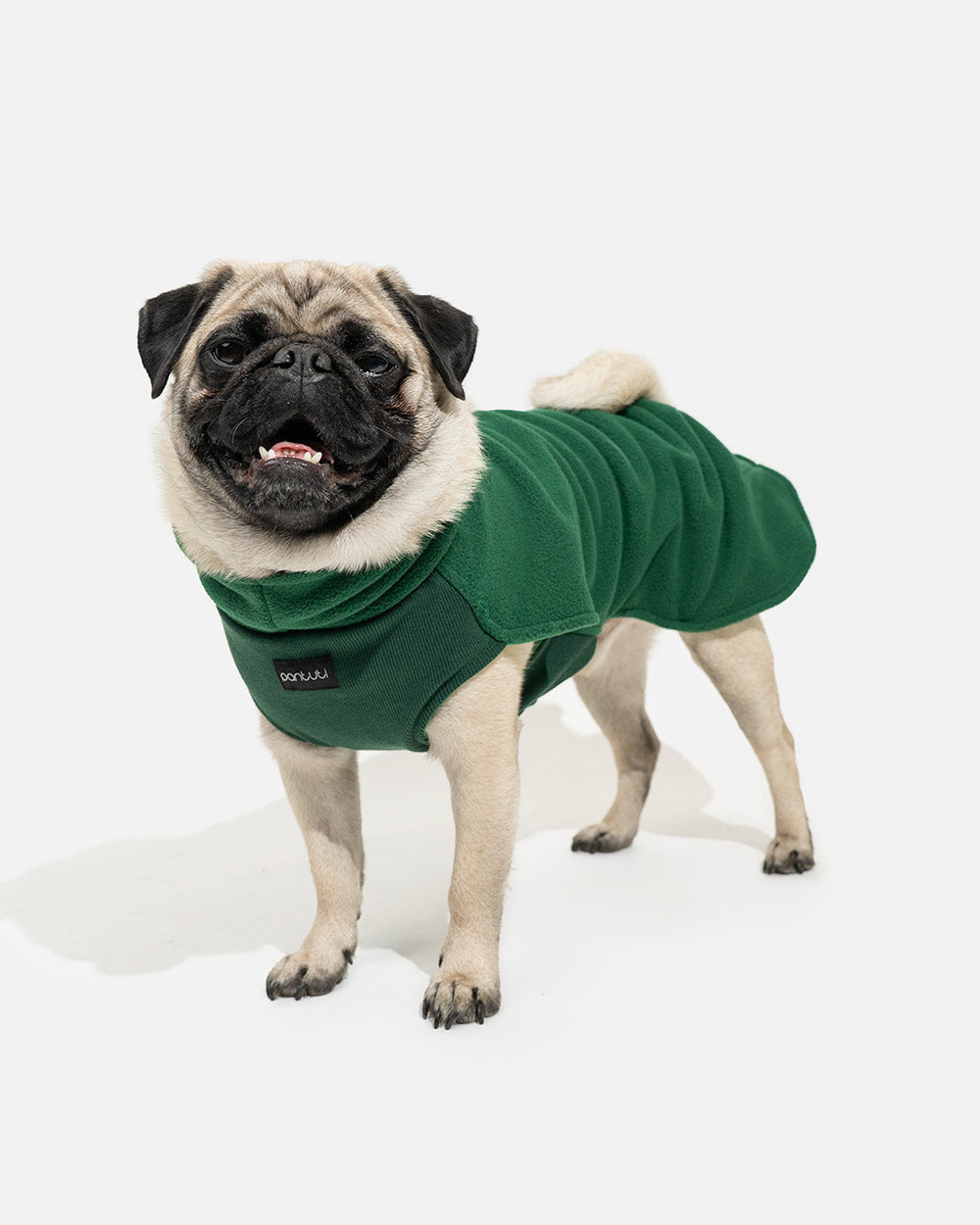 e338dd73e1dacda49e3fe09bc37dc872