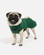 e338dd73e1dacda49e3fe09bc37dc872