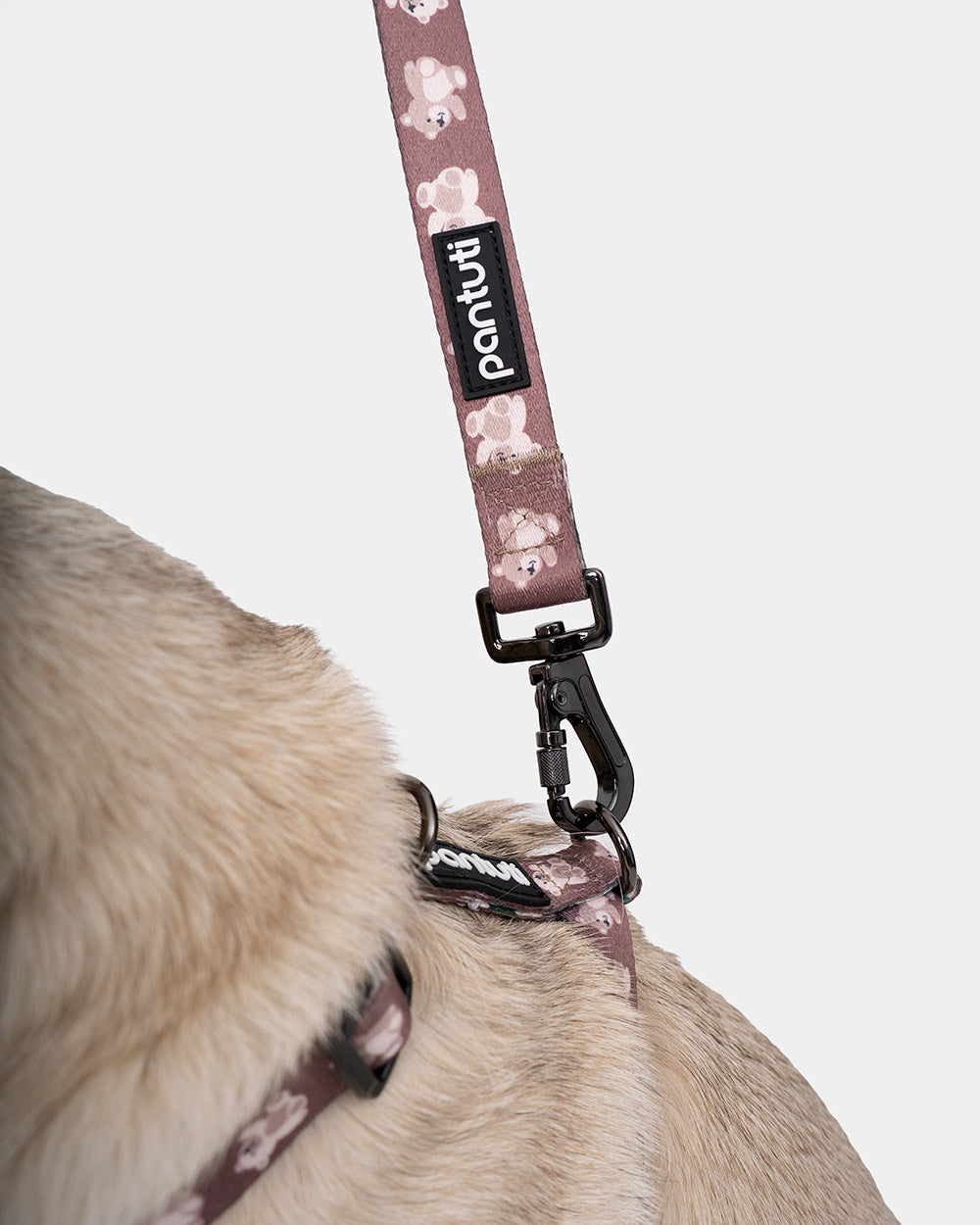 Adjustable leash for dogs from KIDO