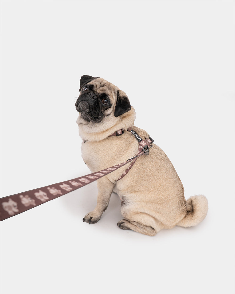 KIDO bowl dog guard harness