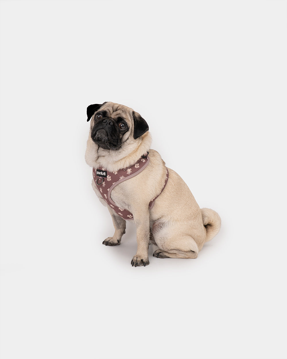 KIDO Bear No-Pull Dog Harness