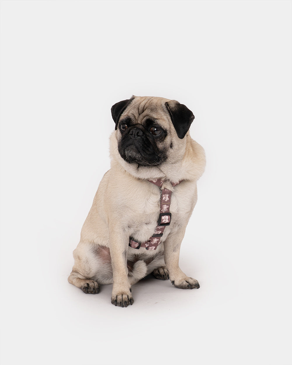 KIDO bowl dog guard harness