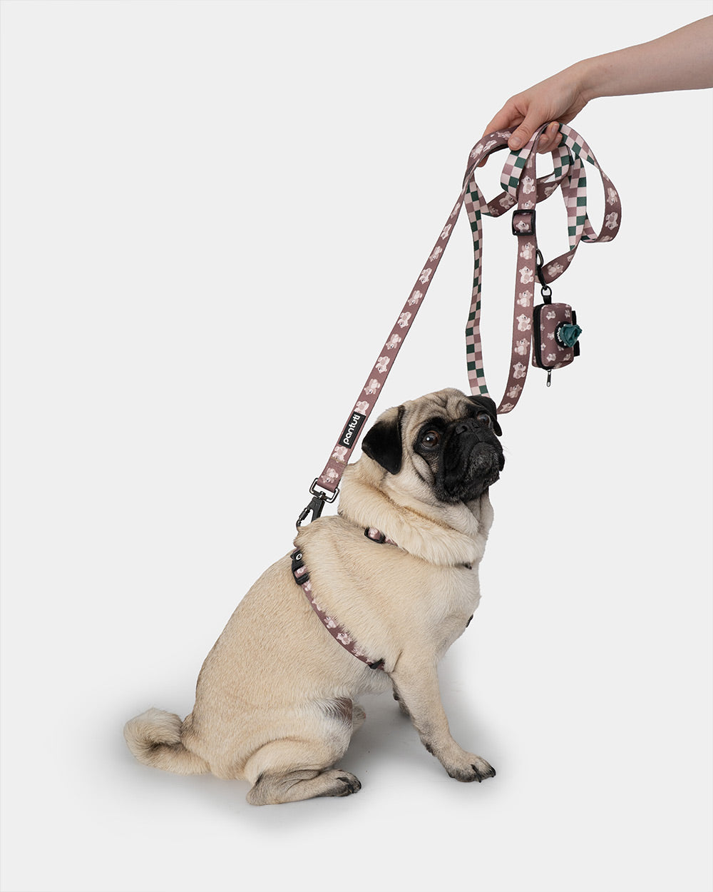 Adjustable leash for dogs from KIDO
