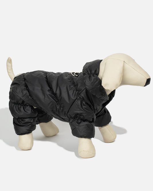Warm dog jumpsuit LUIS
