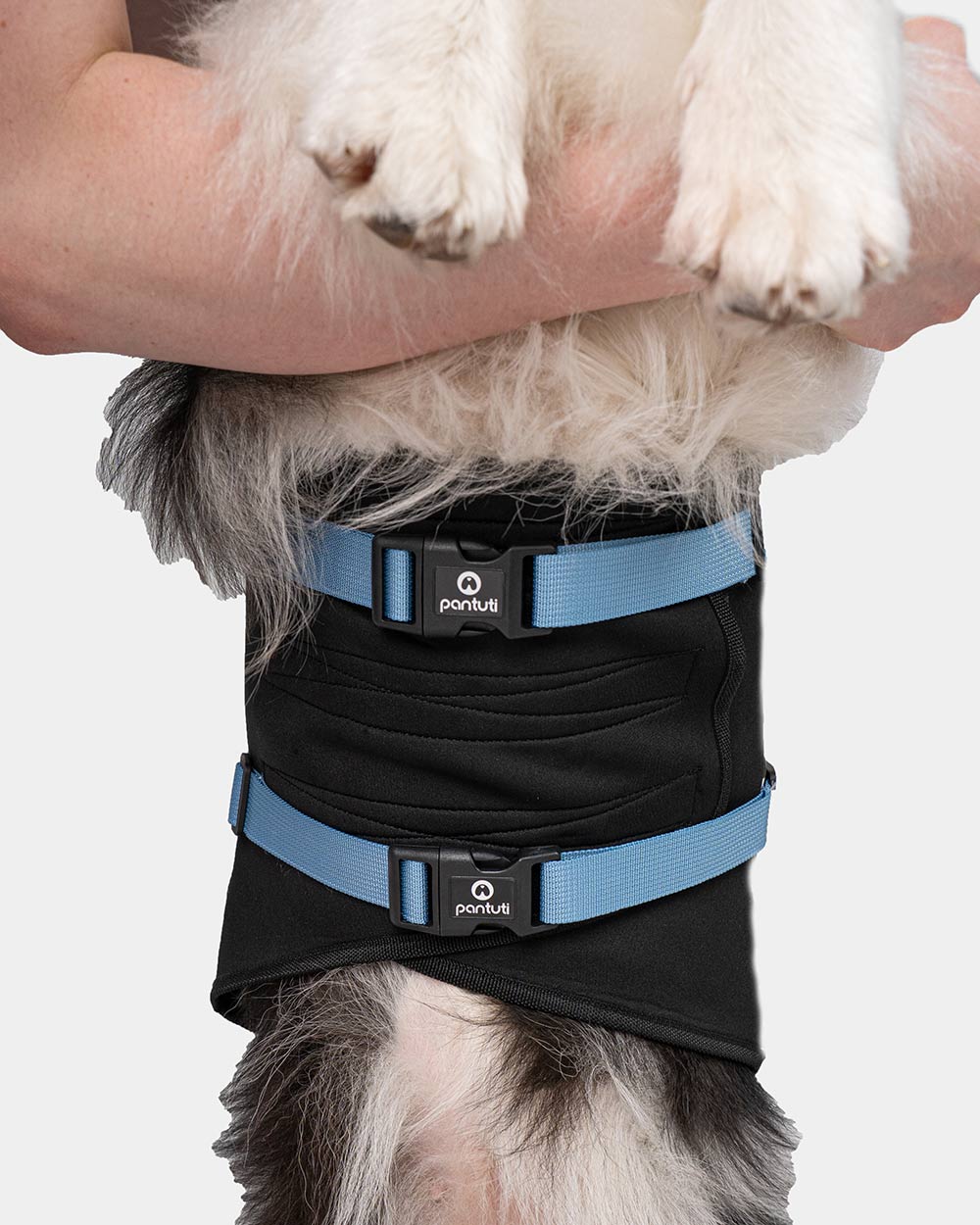 Dog life jacket EGG OF SALVATION
