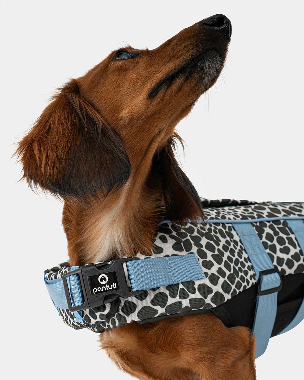 Dog life jacket EGG OF SALVATION