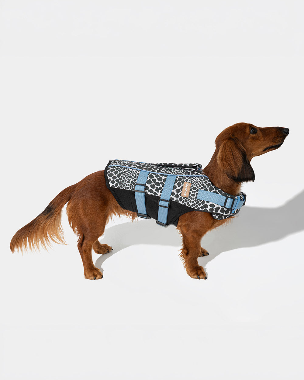 Dog life jacket EGG OF SALVATION