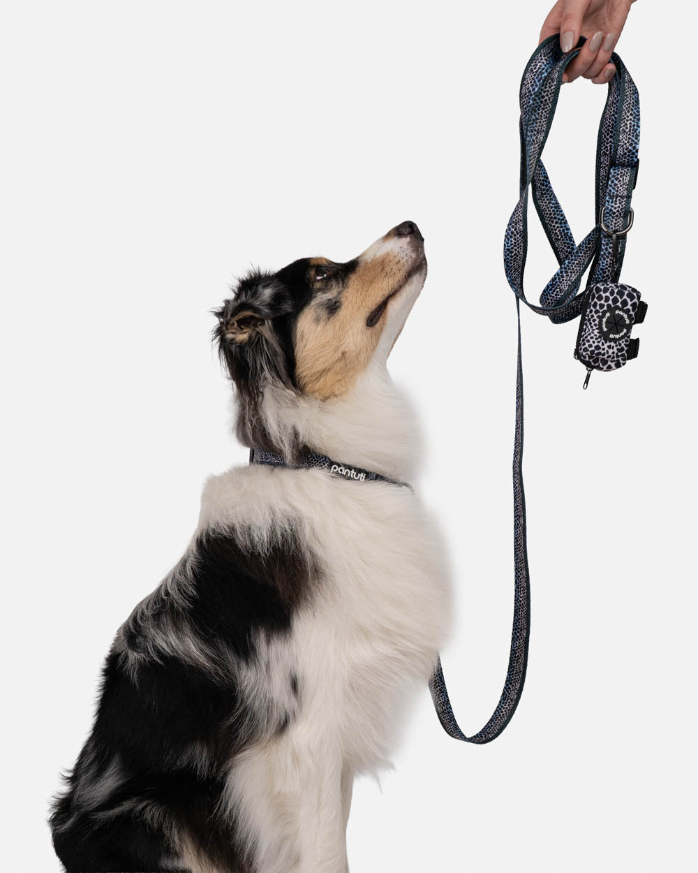 Poop bag holder for dog snake pattern MAMBA