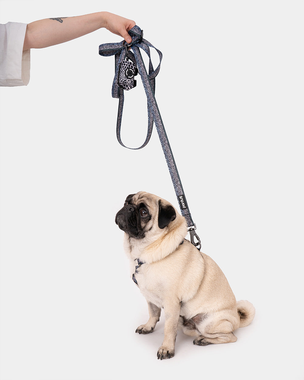 Poop bag holder for dog snake pattern MAMBA