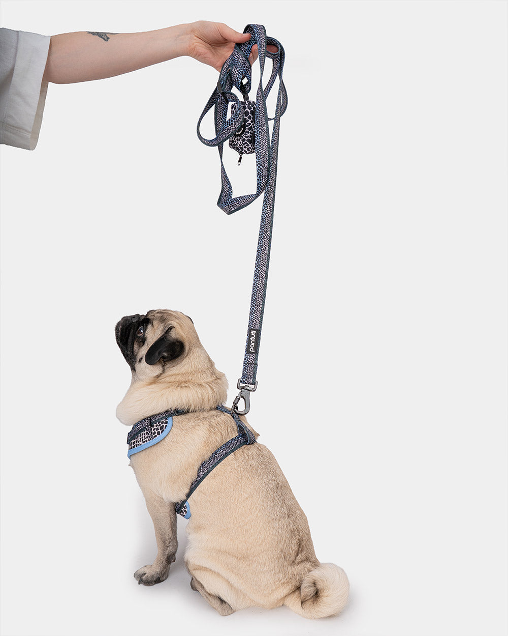 Mamba Snake Pattern No-Pull Dog Harness