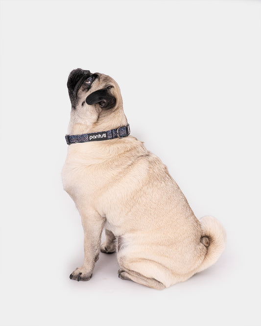 MAMBA snake pattern dog collar