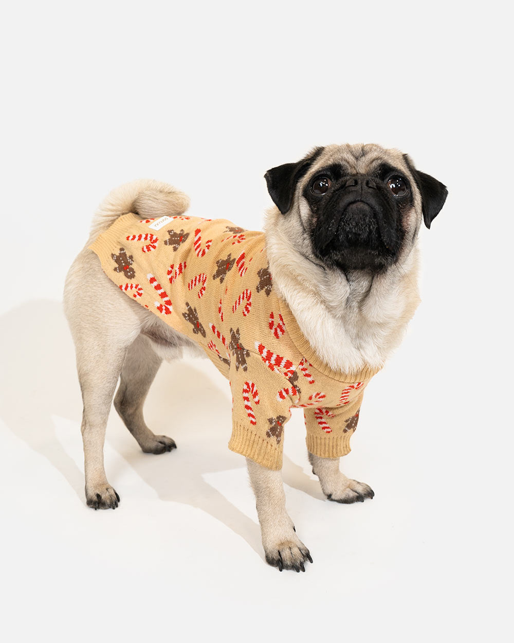 Warmer, elastischer Weihnachtspullover für Hunde MARCEPAN