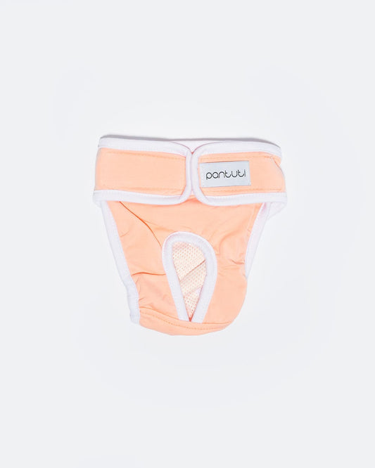 Smooth panties for a female dog NATALA