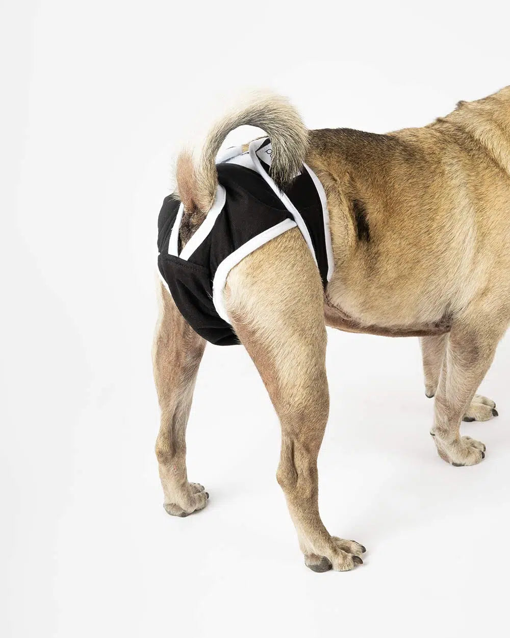 Hündinnenhöschen für die Läufigkeit "NATALA"