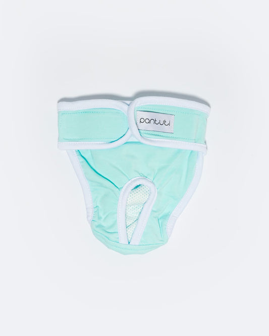 Smooth panties for a female dog NATALA