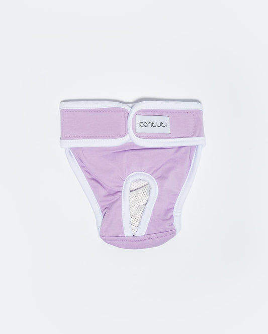 Smooth panties for a female dog NATALA