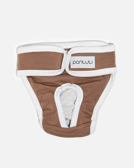 Smooth panties for a female dog NATALA