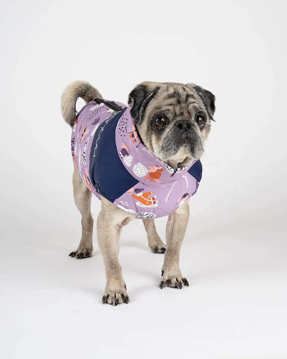 Hundemantel Wasserdicht "ZIPPER NODY"