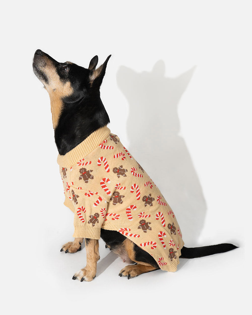 f7498b96a27ac2bb740b2cc16ebfed26