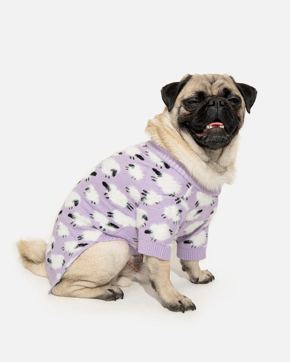 60a3e74a0e4c62d5c54f92d2aa098b48