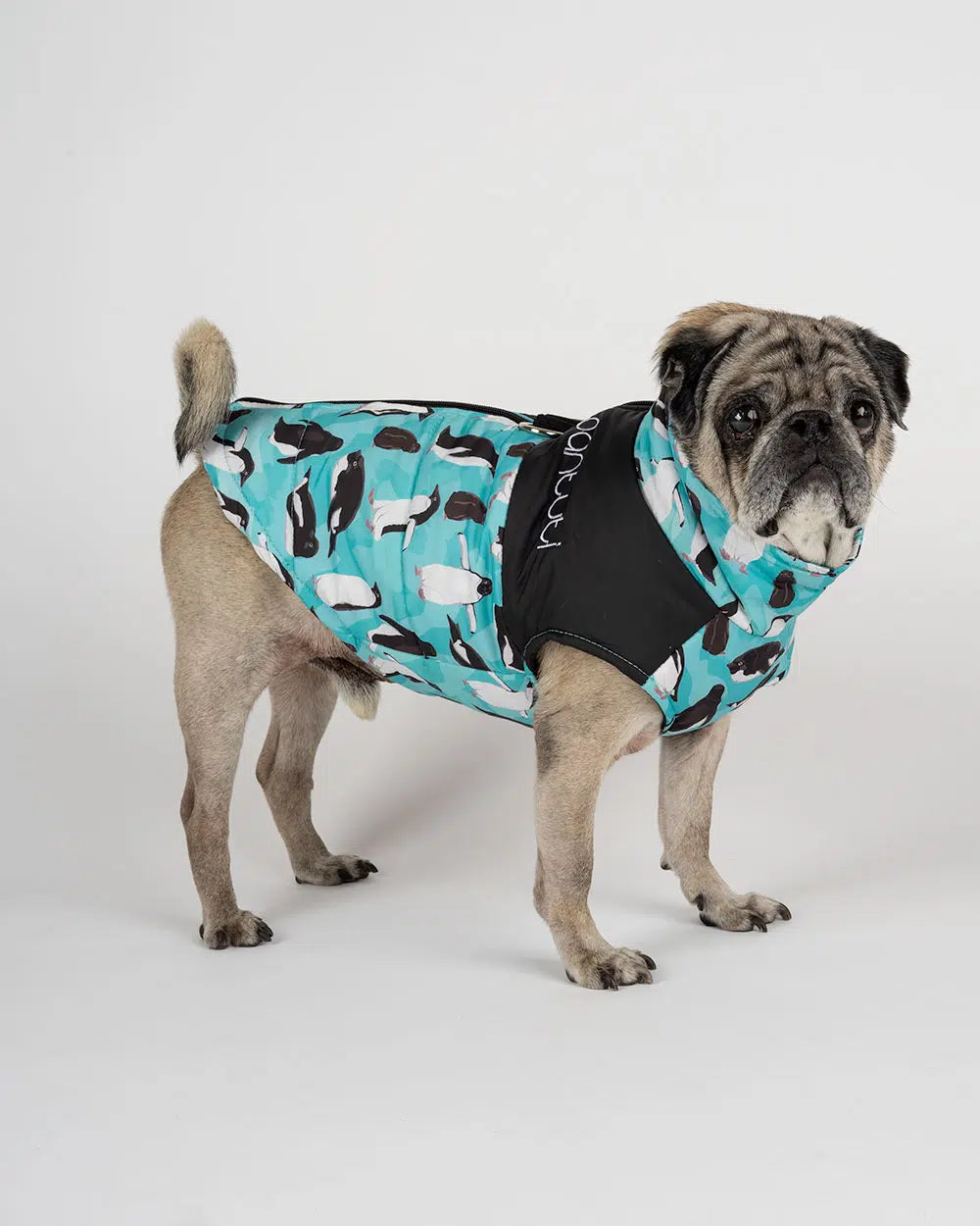 Hundejacke mit Reißverschluss mit Pinguinen "ZIPPER OTTO"