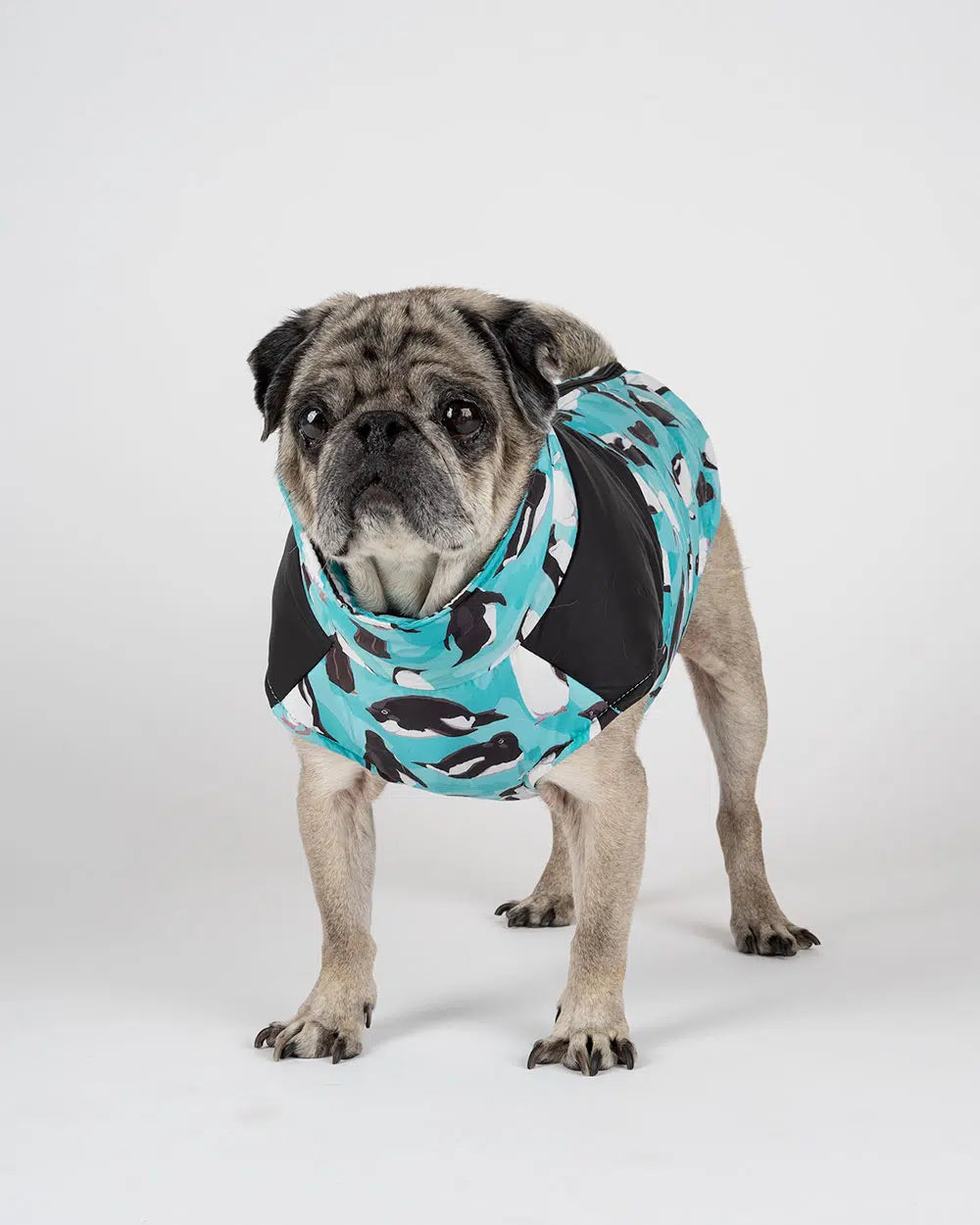 Hundejacke mit Reißverschluss mit Pinguinen "ZIPPER OTTO"