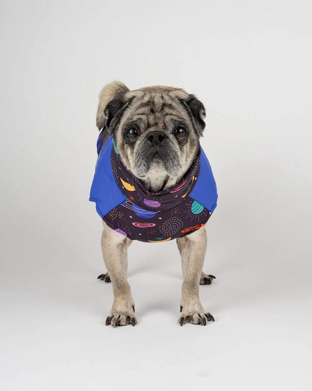 Hundejacke mit Reißverschluss "ZIPPER SPACE"