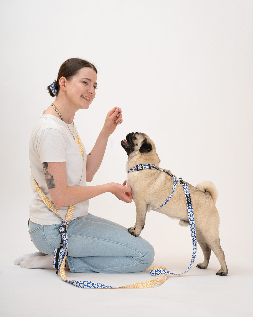 4ad787160a19df97b63d094d4bf5d4b9