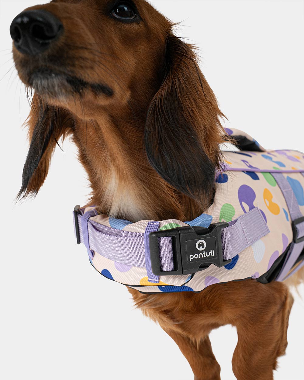 Dog life jacket EGG OF SALVATION