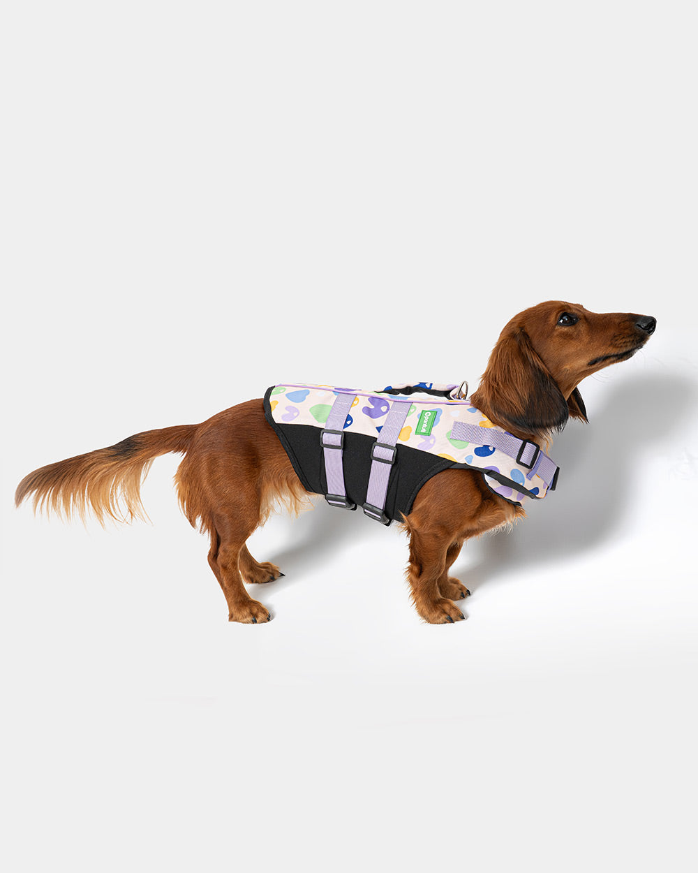 Dog life jacket EGG OF SALVATION