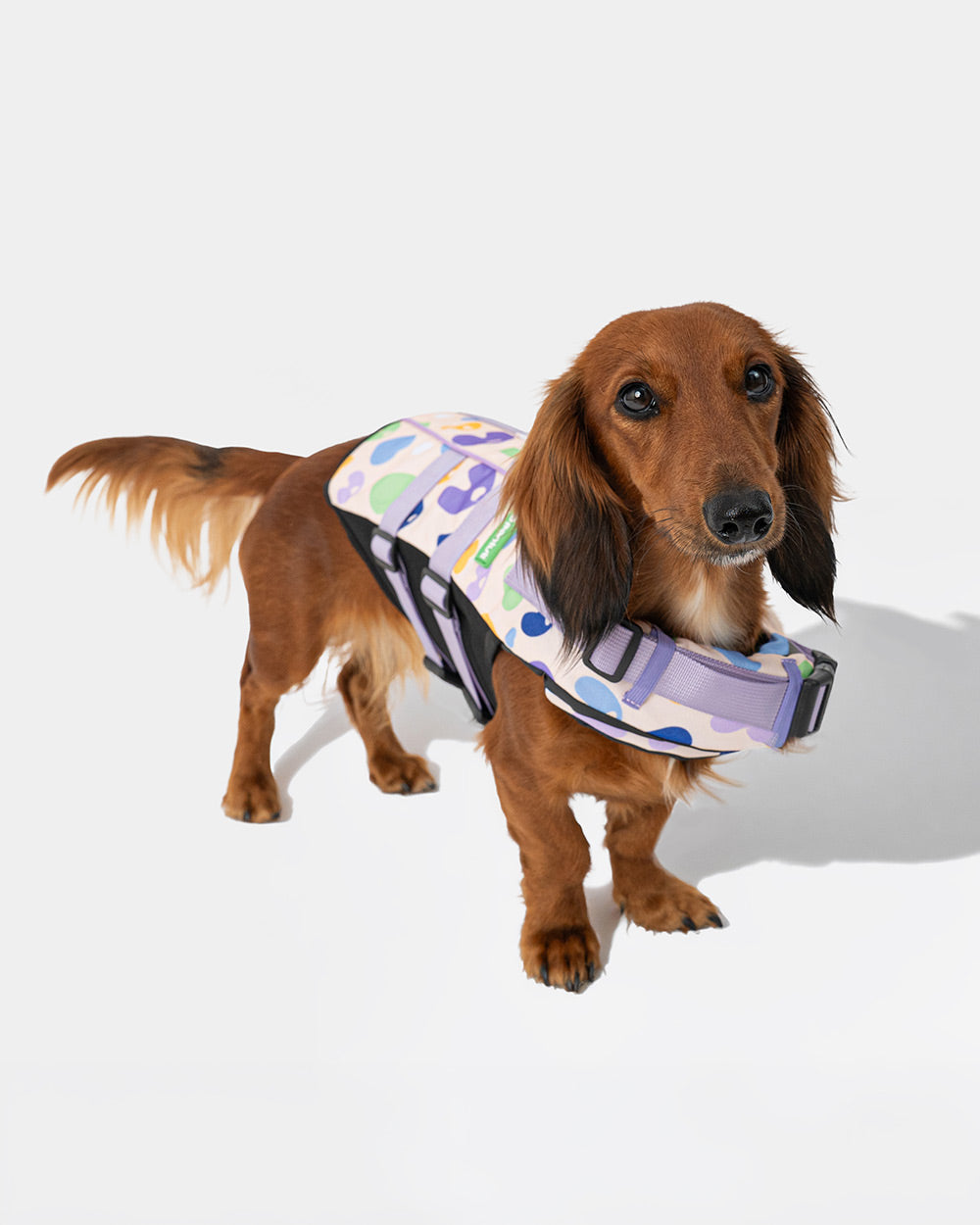 Dog life jacket EGG OF SALVATION