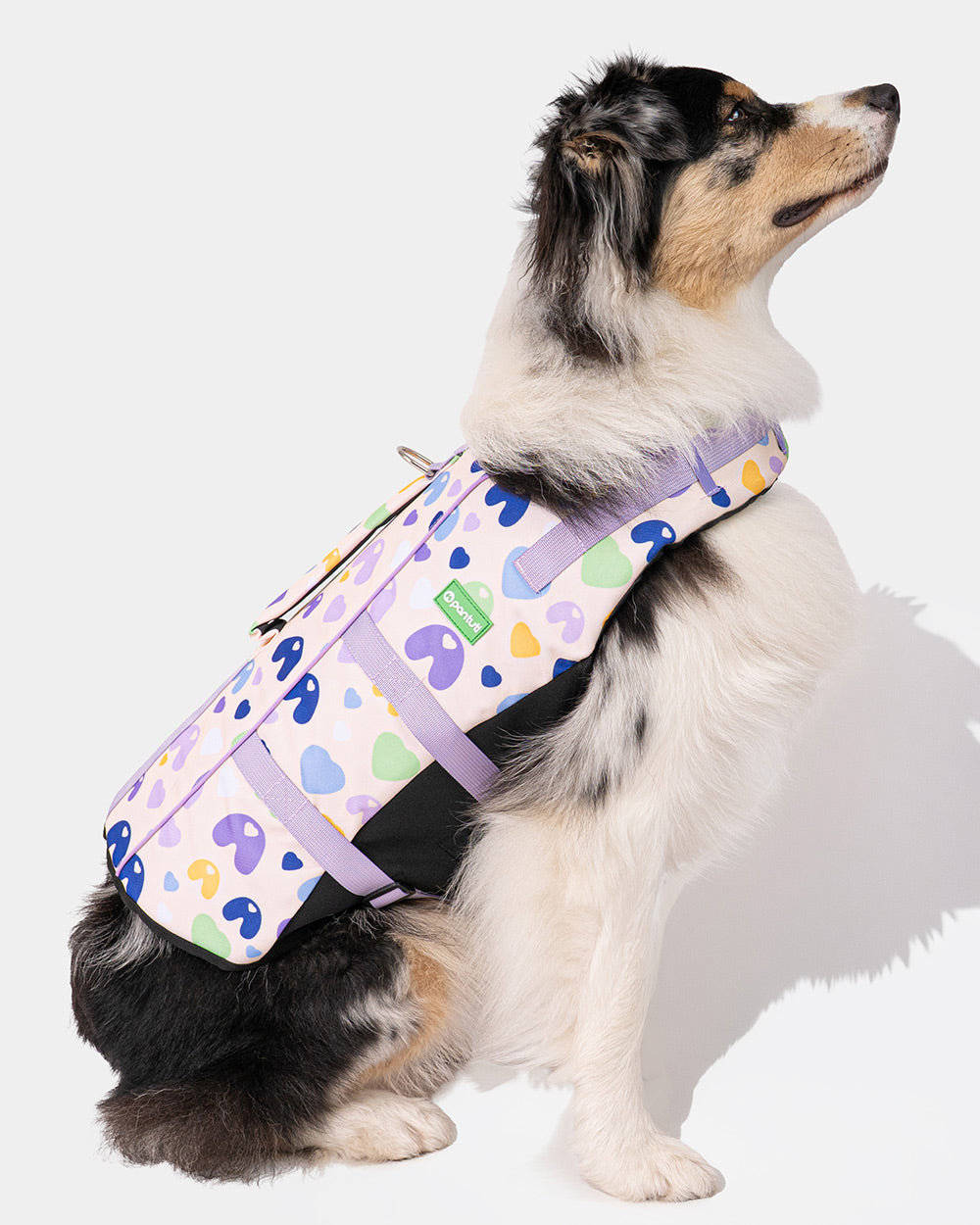 Dog life jacket EGG OF SALVATION